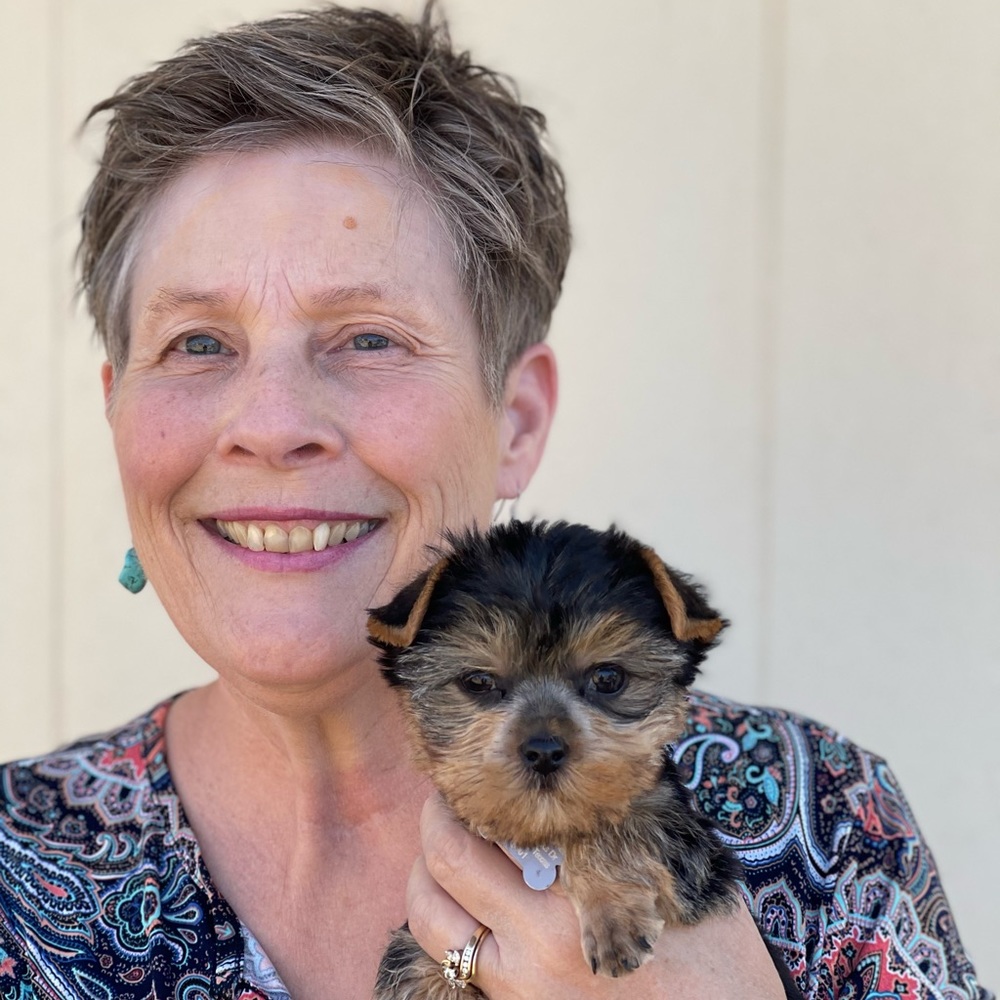 Meet the new Yorkie baby Bentley Rose!
